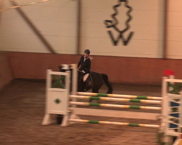 Reitturnier Bad Salzuflen 2017