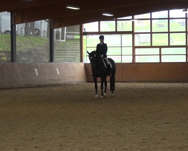 Reitturnier Leichlingen-Witzhelden 2017