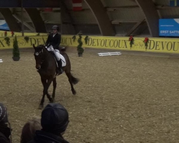 Reitturnier Essen-Stadtwald 2017