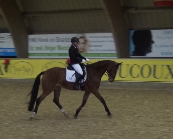 Reitturnier Essen-Stadtwald 2017