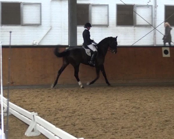 Reitturnier Leichlingen-Witzhelden 2017