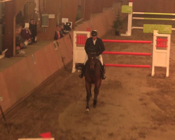 Reitturnier Bad Salzuflen 2017