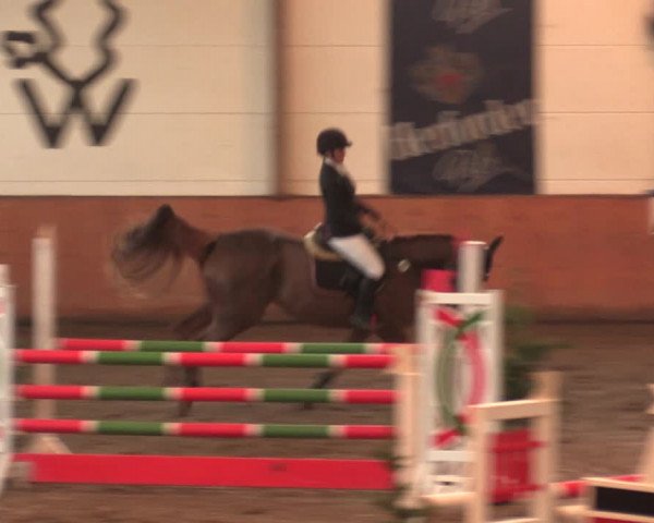 Reitturnier Bad Salzuflen 2017