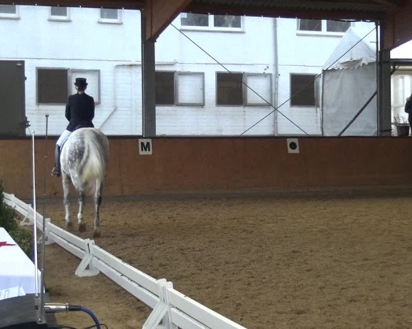 Reitturnier Leichlingen-Witzhelden 2017