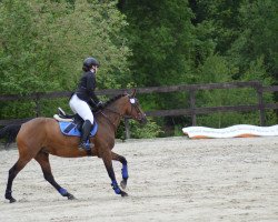 broodmare Zarina 89 (Holsteiner, 2007, from Coriano)