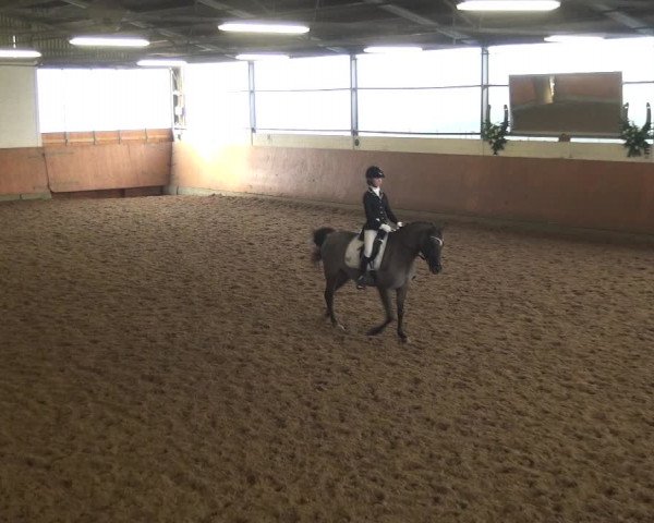 Reitturnier Leichlingen-Witzhelden 2017