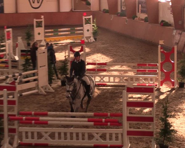 Reitturnier Bad Salzuflen 2017