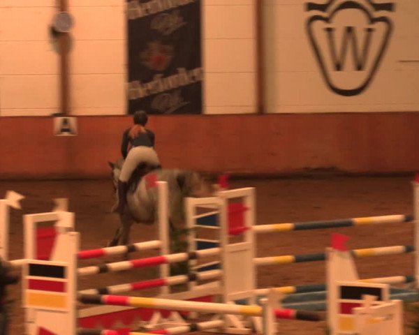 Reitturnier Bad Salzuflen 2017