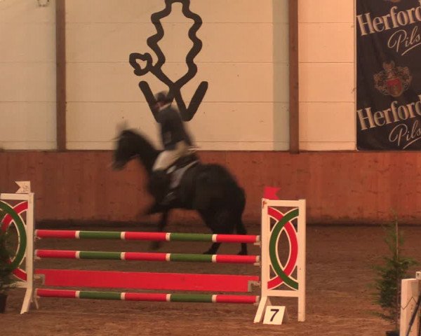Reitturnier Bad Salzuflen 2017