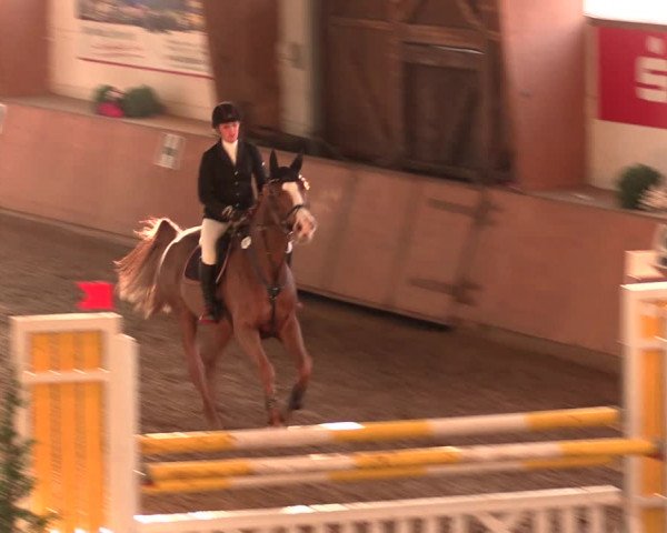 Reitturnier Bad Salzuflen 2017