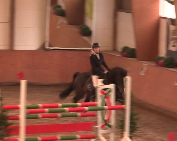 Reitturnier Bad Salzuflen 2017