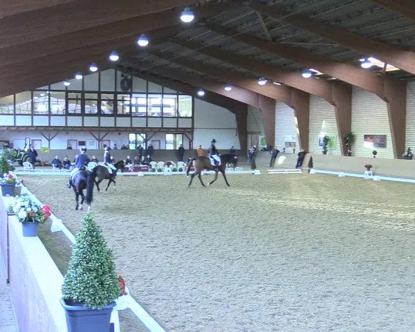 Reitturnier Kamen 2017