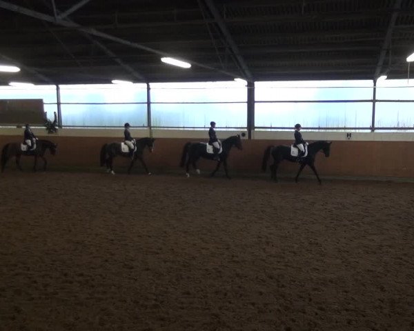 Reitturnier Leichlingen-Witzhelden 2017