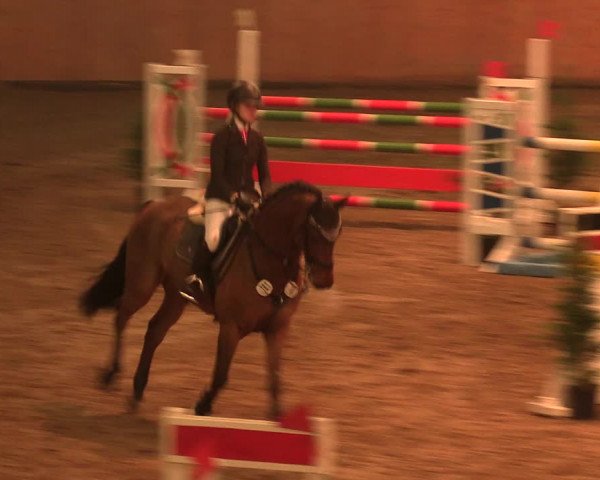 Reitturnier Bad Salzuflen 2017