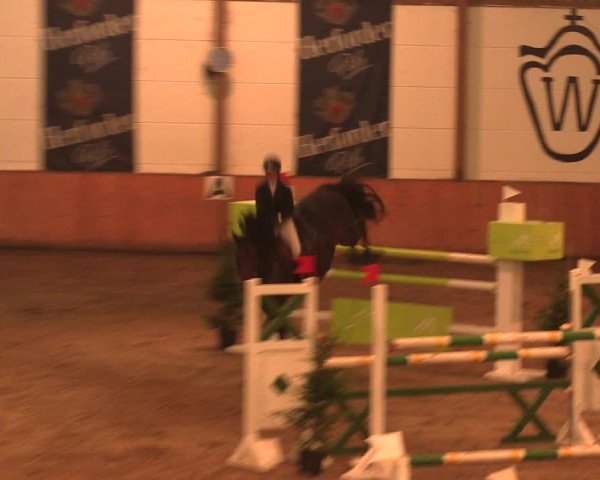 Reitturnier Bad Salzuflen 2017