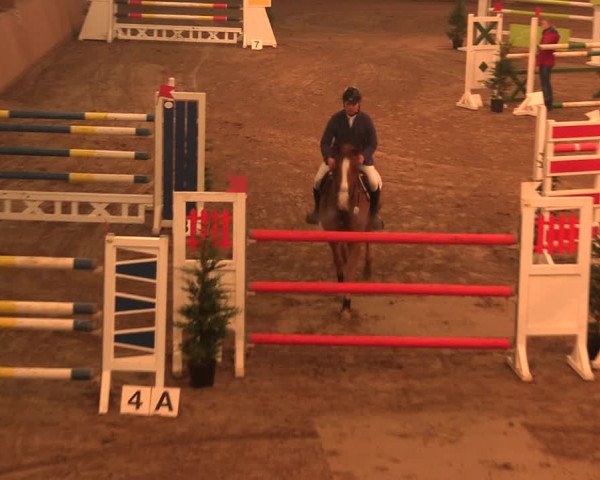 Reitturnier Bad Salzuflen 2017