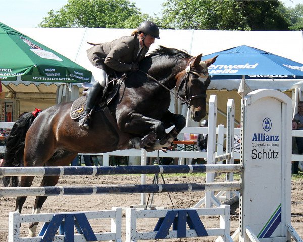 jumper Esperanza 88 (Hanoverian, 2007, from Espri)