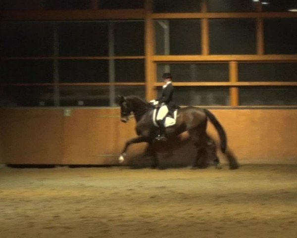 Reitturnier Leichlingen-Witzhelden 2017