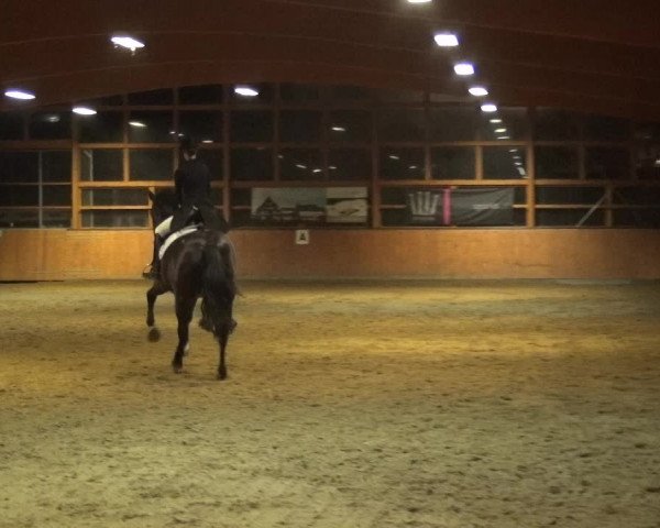 Reitturnier Leichlingen-Witzhelden 2017