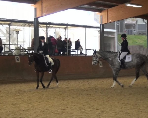 Reitturnier Leichlingen-Witzhelden 2017