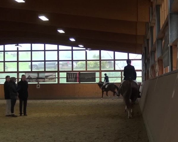 Reitturnier Leichlingen-Witzhelden 2017