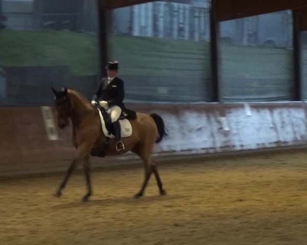 Reitturnier Leichlingen-Witzhelden 2017