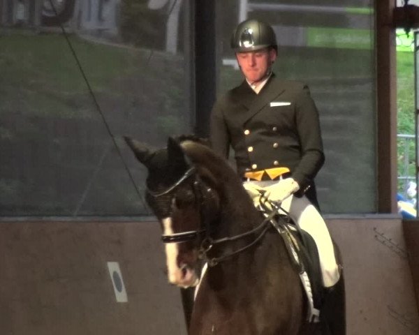 Reitturnier Leichlingen-Witzhelden 2017