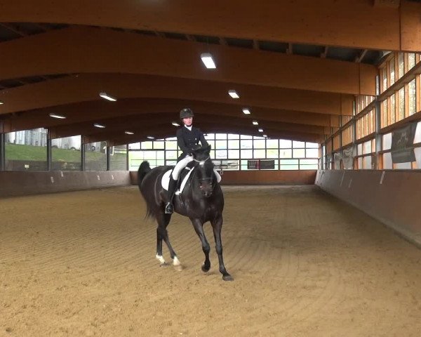 Reitturnier Leichlingen-Witzhelden 2017