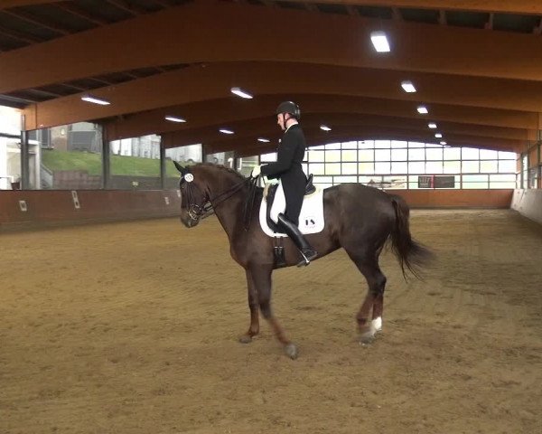 Reitturnier Leichlingen-Witzhelden 2017