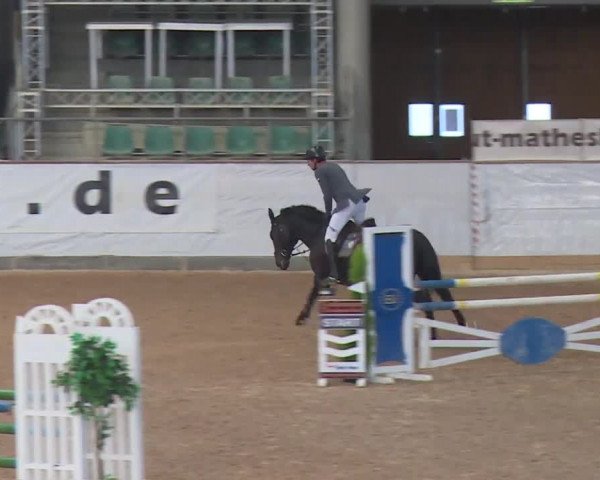 FEI Reitturnier Kreuth (GER) 2017
