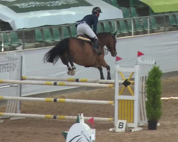FEI Reitturnier Kreuth (GER) 2017