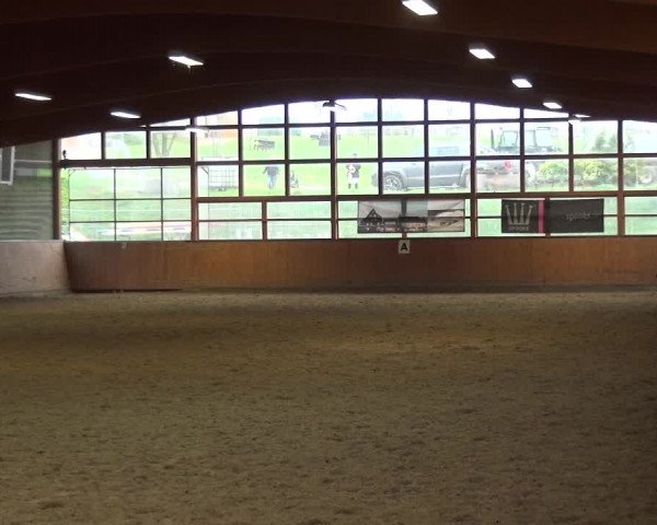 Reitturnier Leichlingen-Witzhelden 2017