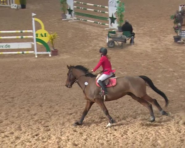 FEI Reitturnier Kreuth (GER) 2017