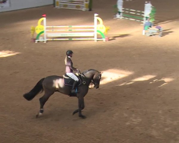 FEI Reitturnier Kreuth (GER) 2017