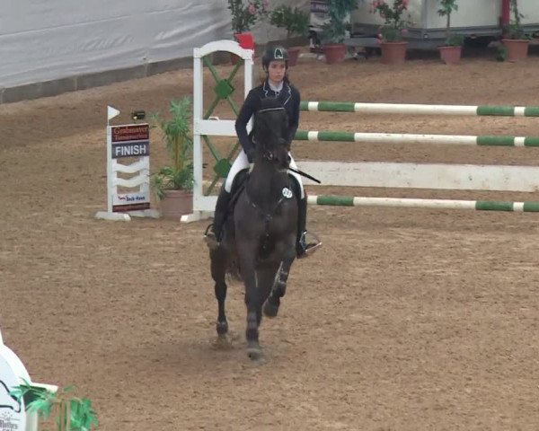 FEI Reitturnier Kreuth (GER) 2017