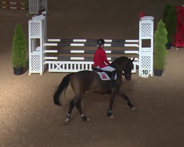 FEI Reitturnier Kreuth (GER) 2017