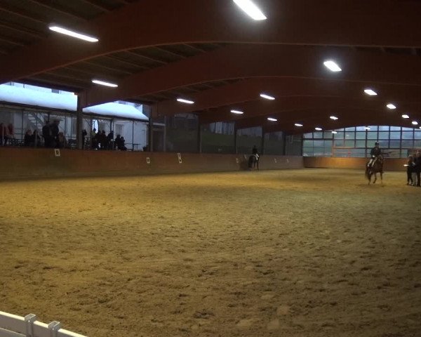 Reitturnier Leichlingen-Witzhelden 2017