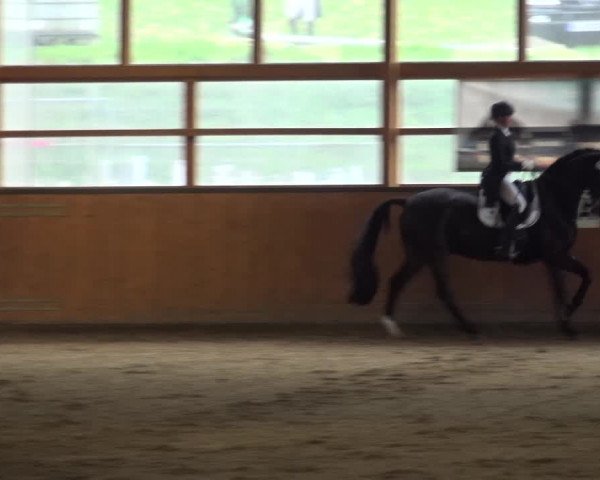 Reitturnier Leichlingen-Witzhelden 2017