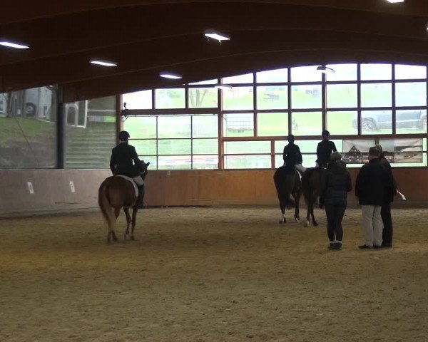 Reitturnier Leichlingen-Witzhelden 2017