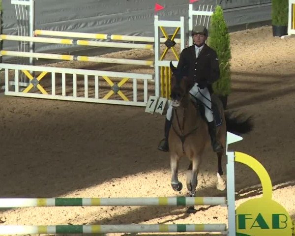FEI Reitturnier Kreuth (GER) 2017