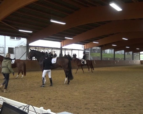 Reitturnier Leichlingen-Witzhelden 2017