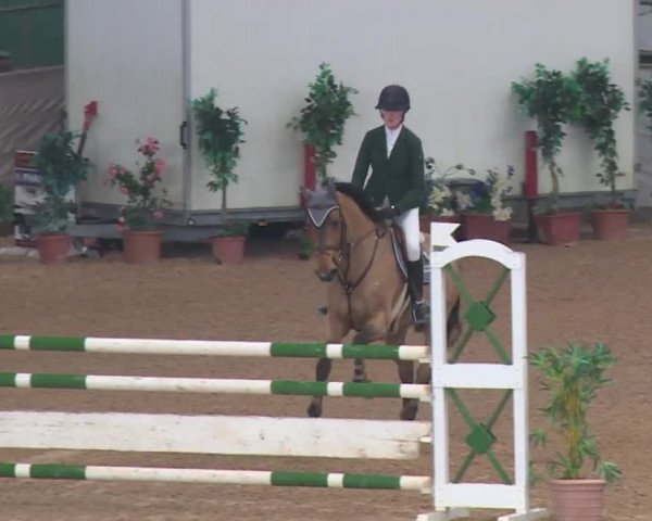 FEI Reitturnier Kreuth (GER) 2017