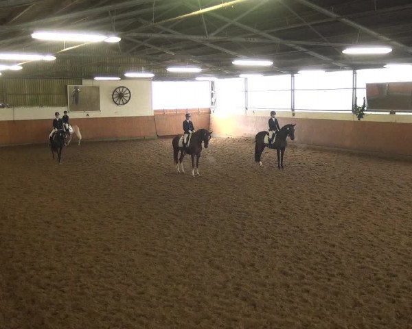 Reitturnier Leichlingen-Witzhelden 2017