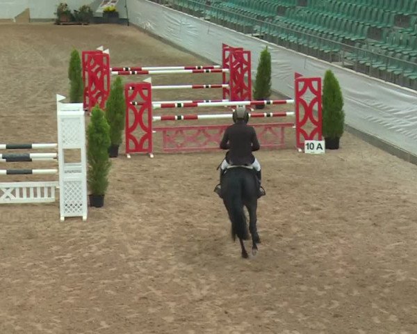 FEI Reitturnier Kreuth (GER) 2017