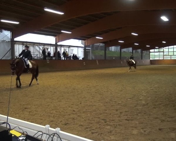 Reitturnier Leichlingen-Witzhelden 2017
