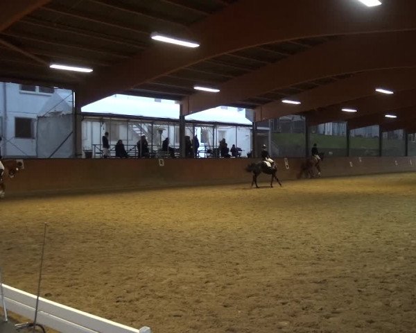 Reitturnier Leichlingen-Witzhelden 2017