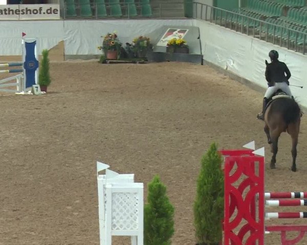 FEI Reitturnier Kreuth (GER) 2017
