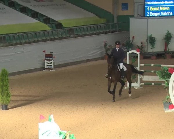 FEI Reitturnier Kreuth (GER) 2017