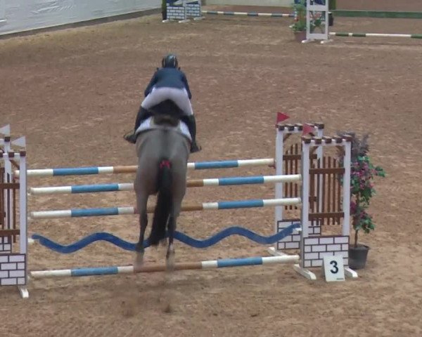 FEI Reitturnier Kreuth (GER) 2017