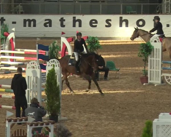 FEI Reitturnier Kreuth (GER) 2017